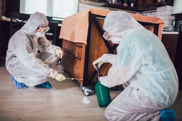 Specialists in protective suits take samples from surfaces in the home to test for a new corona virus.